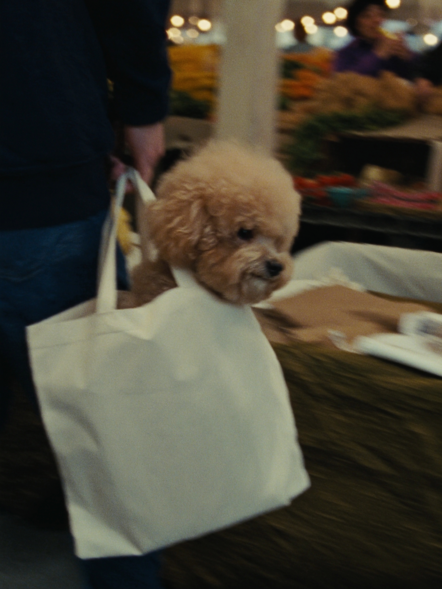 Dog-friendly — au marché parisien